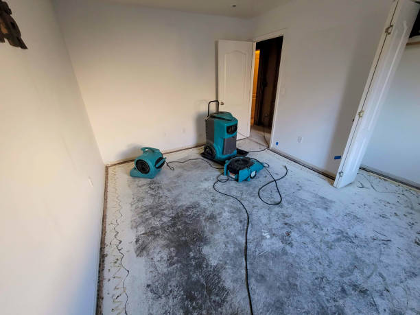 Best Professional water damage repair  in Fairport, NY