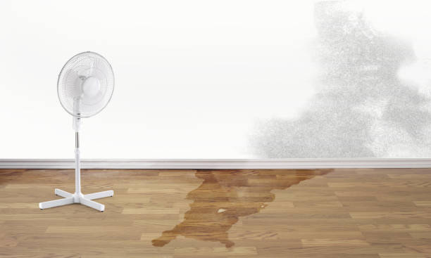 Best Commercial water damage restoration  in Fairport, NY
