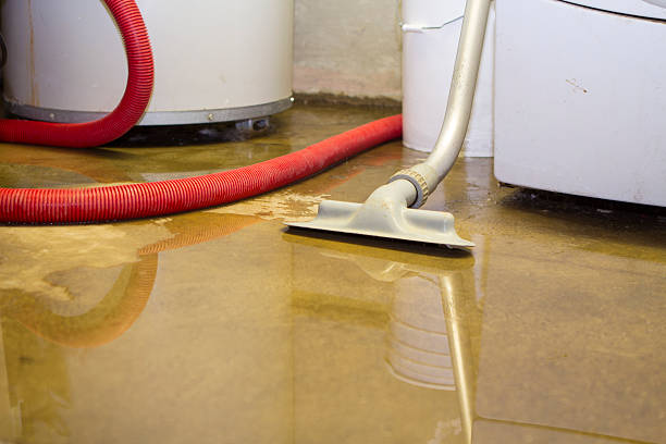 Best Water damage restoration near me  in Fairport, NY