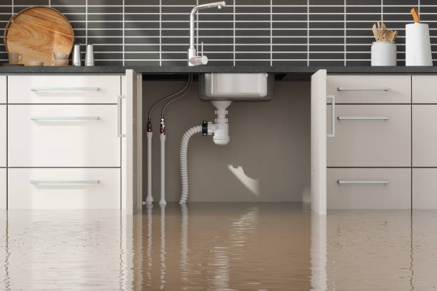 Best Water damage cleanup near me  in Fairport, NY