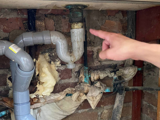 Best Water damage restoration near me  in Fairport, NY