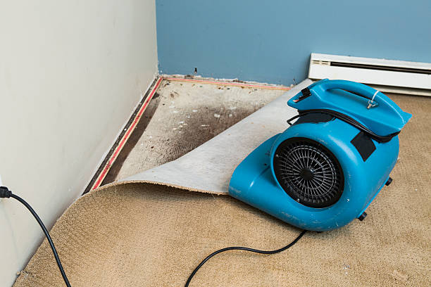 Water damage restoration mold remediation in Fairport, NY